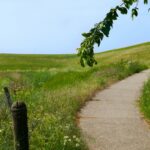 Vakantiepark De Zeeuwse Parel - Bild 15 Vakantiepark De Zeeuwse Parel - Bild 15