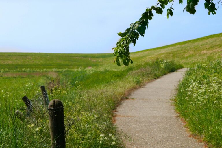 Vakantiepark De Zeeuwse Parel - Bild 15 Vakantiepark De Zeeuwse Parel - Bild 15