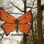 Vakantiepark Dierenbos - Bild 17