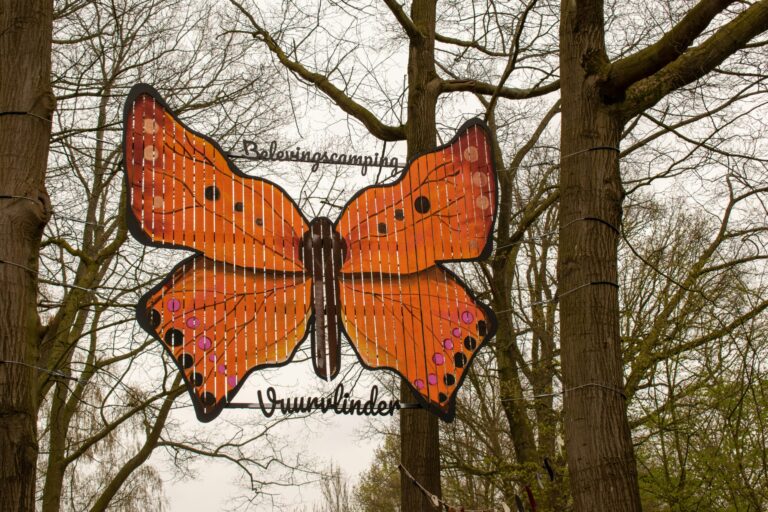 Vakantiepark Dierenbos - Bild 17