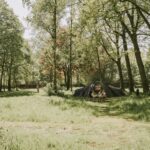 Vakantiepark Dierenbos - Bild 4