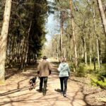 Vakantiepark Hertenhorst - Bild 10