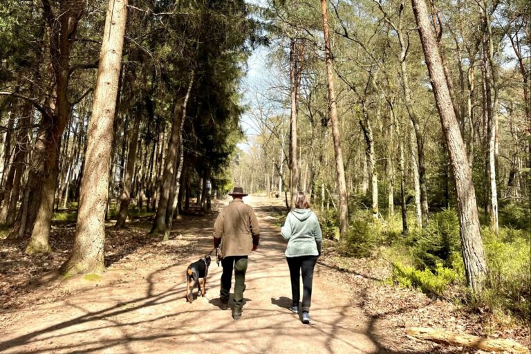 Vakantiepark Hertenhorst - Bild 10