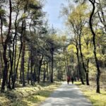 Vakantiepark Hertenhorst - Bild 9