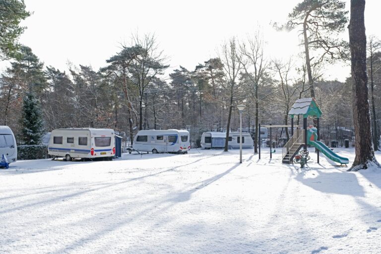 Vakantiepark Het Lierderholt - Bild 16