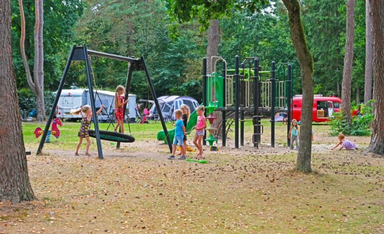 Vakantiepark Het Lierderholt - Bild 9