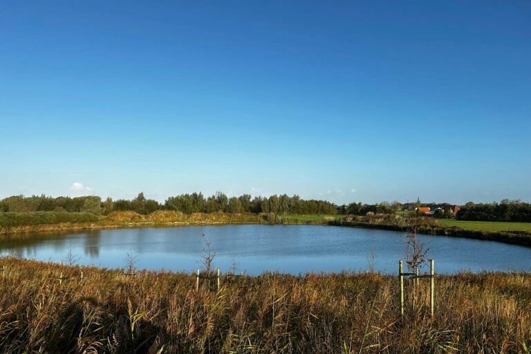 Vakantiepark In Style - Bild 6 Vakantiepark In Style - Bild 6