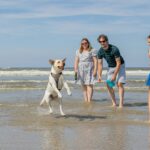 Vakantiepark Klein Vaarwater - Bild 20 Vakantiepark Klein Vaarwater - Bild 20