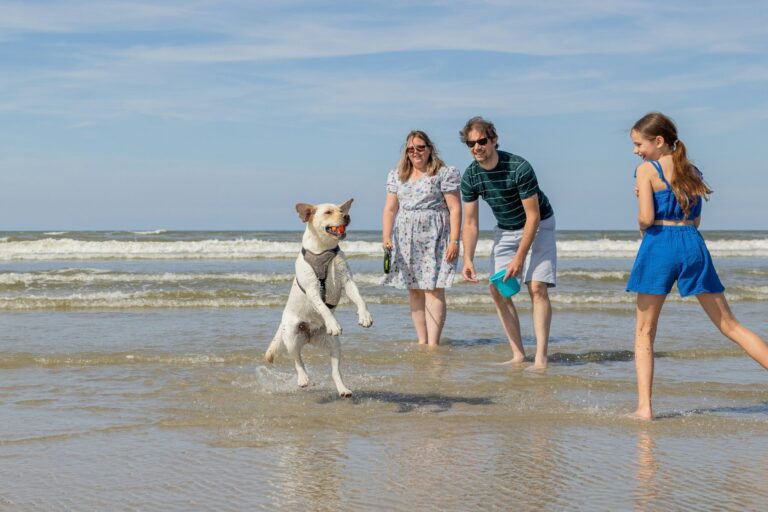 Vakantiepark Klein Vaarwater - Bild 20 Vakantiepark Klein Vaarwater - Bild 20