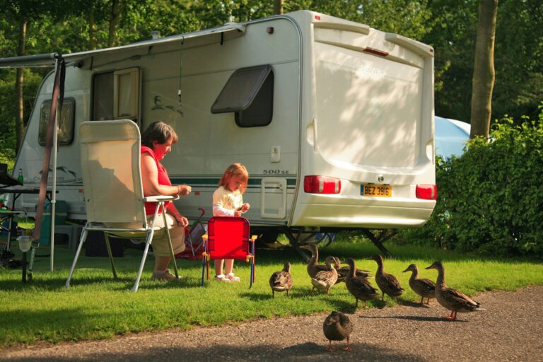 Vakantiepark Koningshof - Bild 3