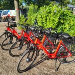 Vakantiepark 't Urkerbos - Bild 12 Vakantiepark 't Urkerbos - Bild 12