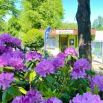 Vakantiepark 't Urkerbos - Bild 14 Vakantiepark 't Urkerbos - Bild 14