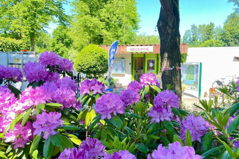 Vakantiepark 't Urkerbos - Bild 14 Vakantiepark 't Urkerbos - Bild 14