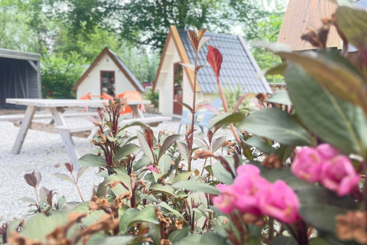 Vakantiepark 't Urkerbos - Bild 6 Vakantiepark 't Urkerbos - Bild 6