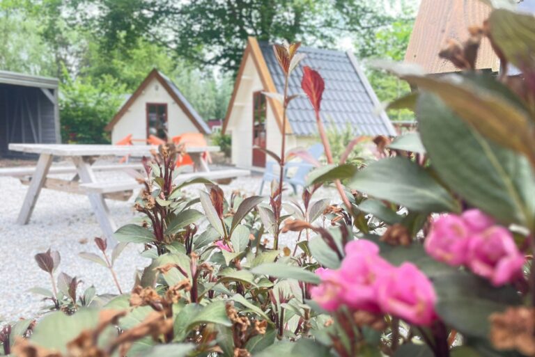 Vakantiepark 't Urkerbos - Bild 6 Vakantiepark 't Urkerbos - Bild 6