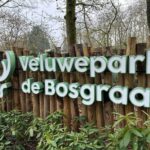 Veluwepark De Bosgraaf - Bild 8