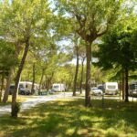 Viareggio Family Collection - Bild 2