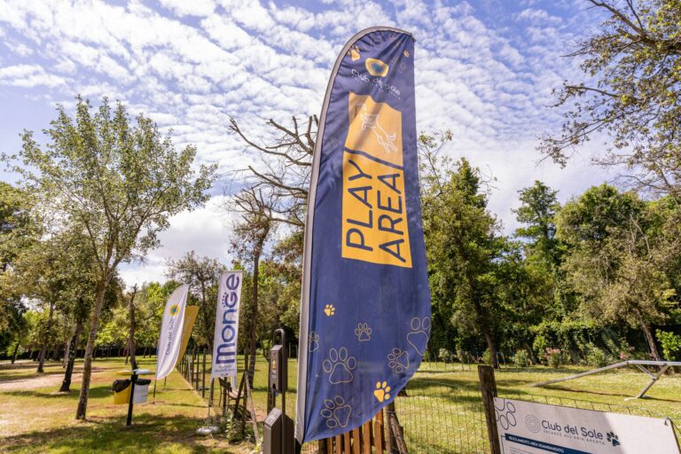 Viareggio Family Collection - Bild 6