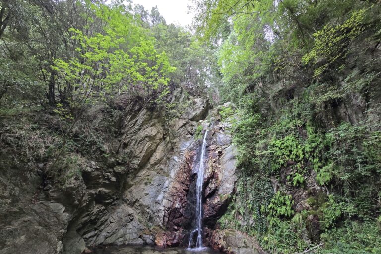 Village Camping Fico D'india - Bild 10 Village Camping Fico D'india - Bild 10