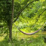 Village Nature Zen - Bild 12