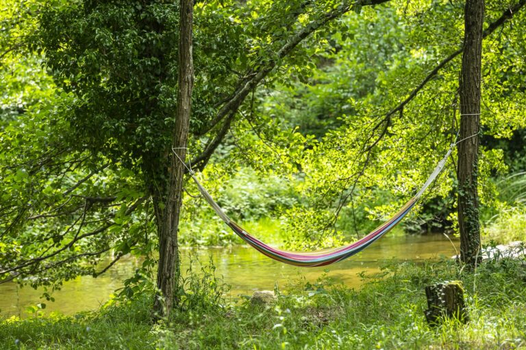 Village Nature Zen - Bild 12