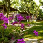 Villaggio Camping Delle Rose - Bild 15