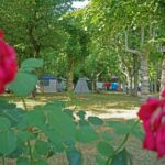 Villaggio Camping Delle Rose - Bild 4