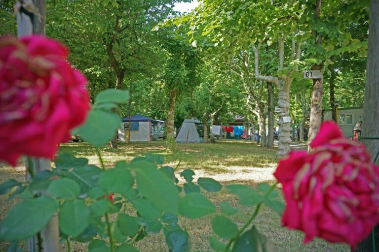 Villaggio Camping Delle Rose - Bild 4