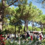 Villaggio Turistico Internazionale - Bild 12