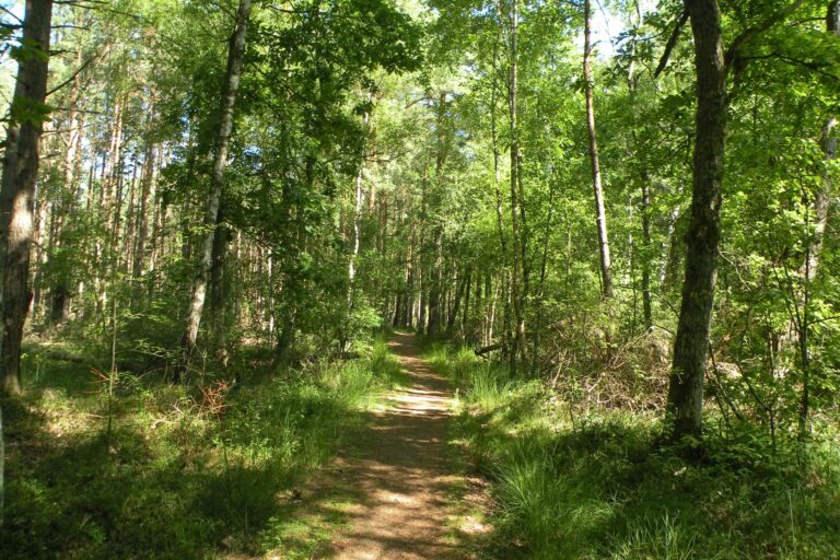 Vilshärads Camping - Bild 10 Vilshärads Camping - Bild 10