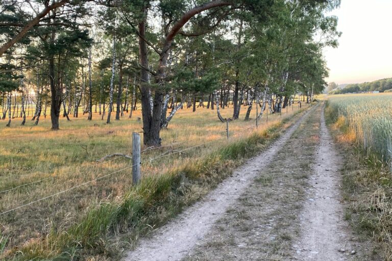 Vilshärads Camping - Bild 11 Vilshärads Camping - Bild 11