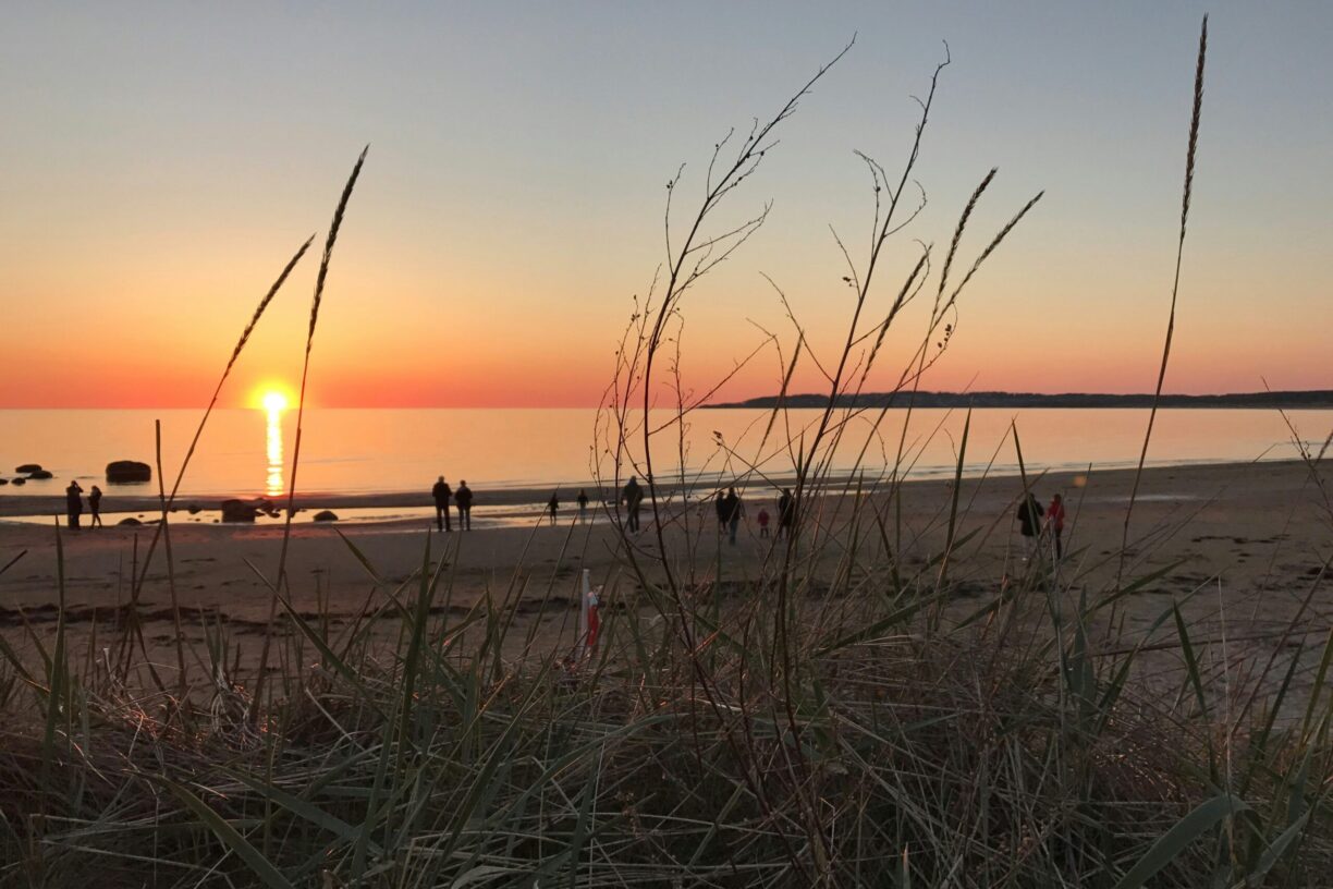 Vilshärads Camping - Bild 13 Vilshärads Camping - Bild 13