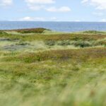 Vorupør Camping - Bild 10