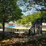 Vvf Brusque - Bild 12