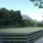 Vvf Méjannes-le-cap - Bild 5