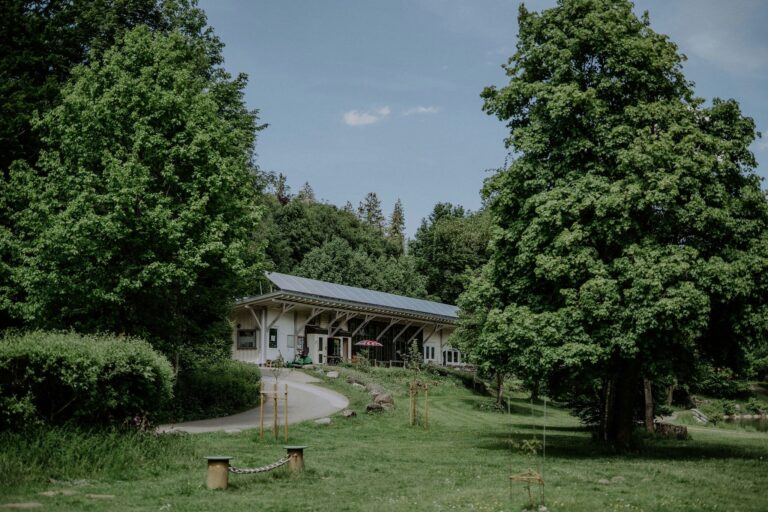 Waldbad Isny - Bild 10