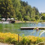 Waldcamping Birkendorf - Bild 1 Waldcamping Birkendorf - Bild 1