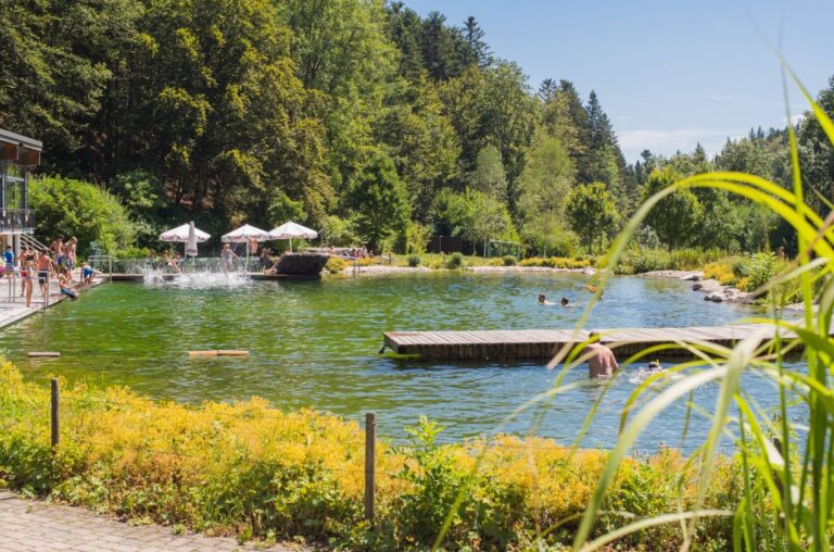 Waldcamping Birkendorf - Bild 1