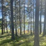 Waxholms Camping - Bild 2