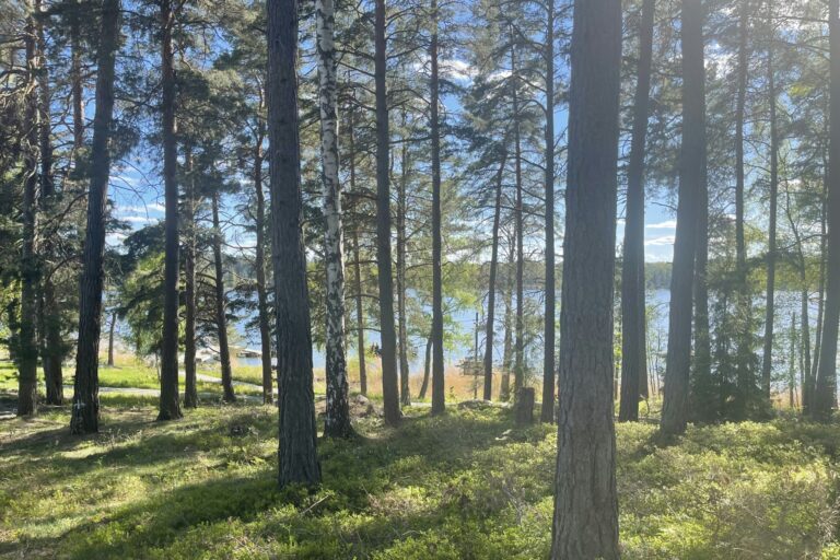 Waxholms Camping - Bild 2