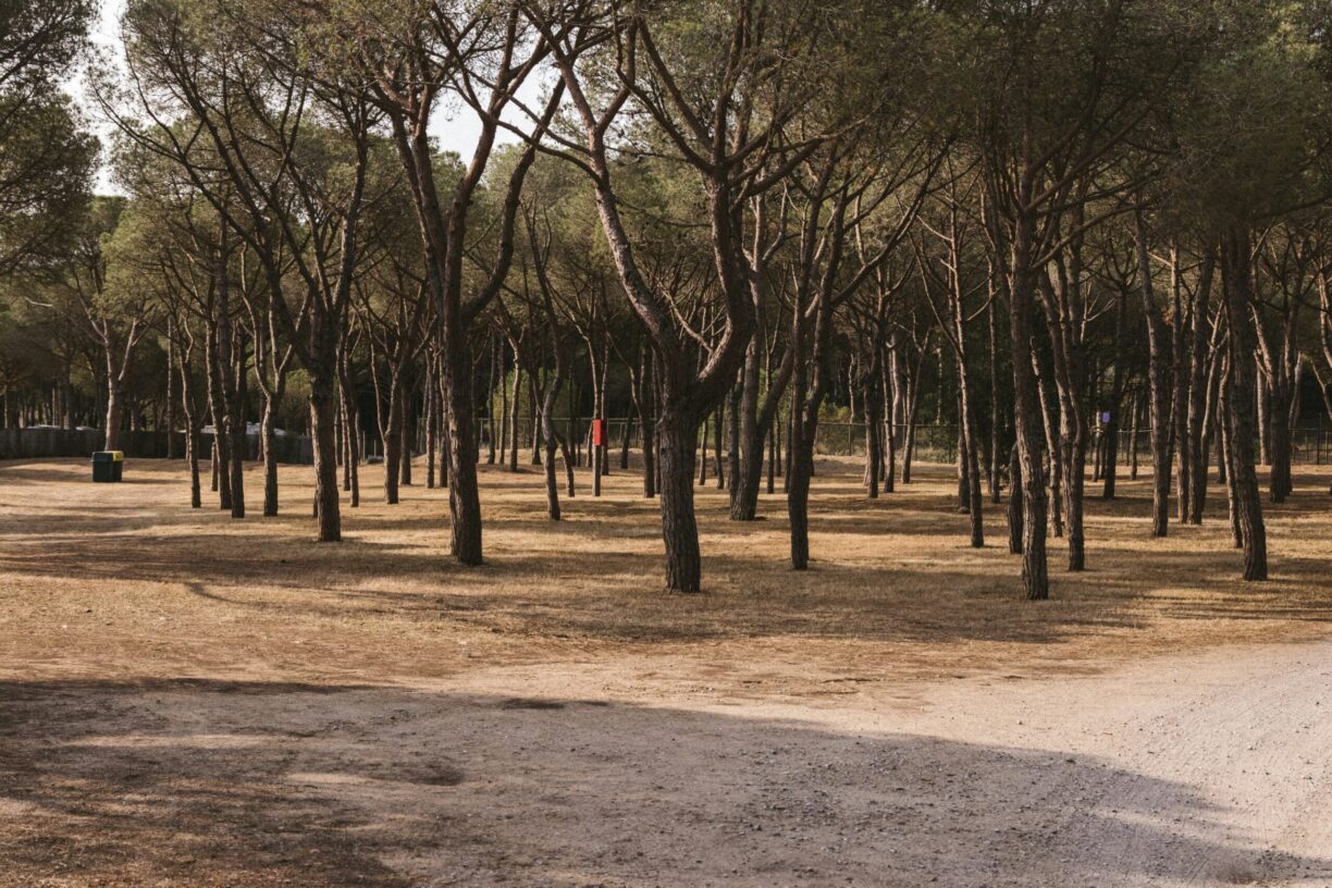 Wecamp Cala Montgó - Bild 10 Wecamp Cala Montgó - Bild 10