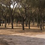 Wecamp Cala Montgó - Bild 10 Wecamp Cala Montgó - Bild 10