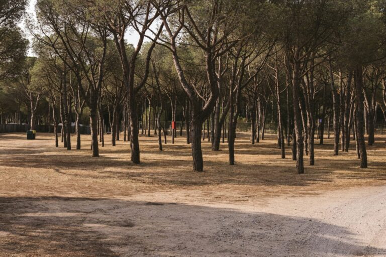 Wecamp Cala Montgó - Bild 10 Wecamp Cala Montgó - Bild 10