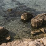 Wecamp Cala Montgó - Bild 5 Wecamp Cala Montgó - Bild 5