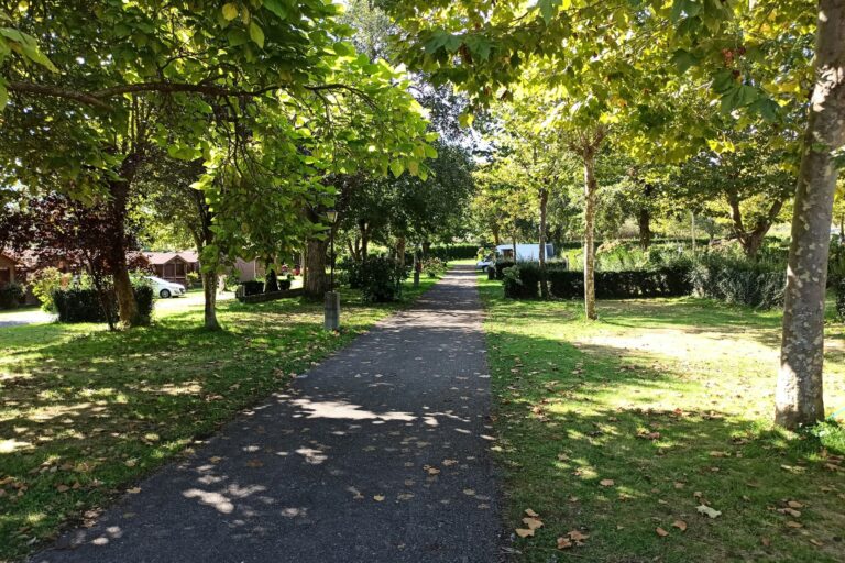 Wecamp Cudillero - Bild 2