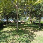 Wecamp Cudillero - Bild 3