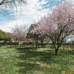 Wecamp Pirineos - Bild 3