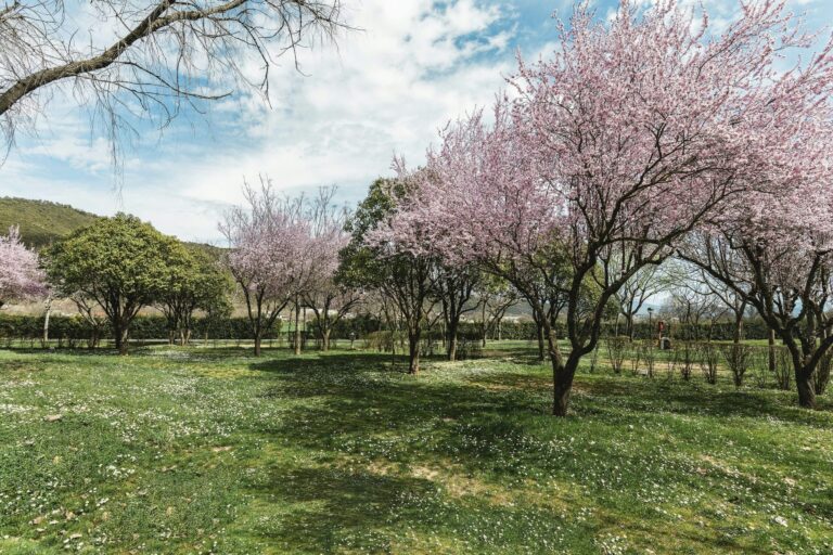 Wecamp Pirineos - Bild 3