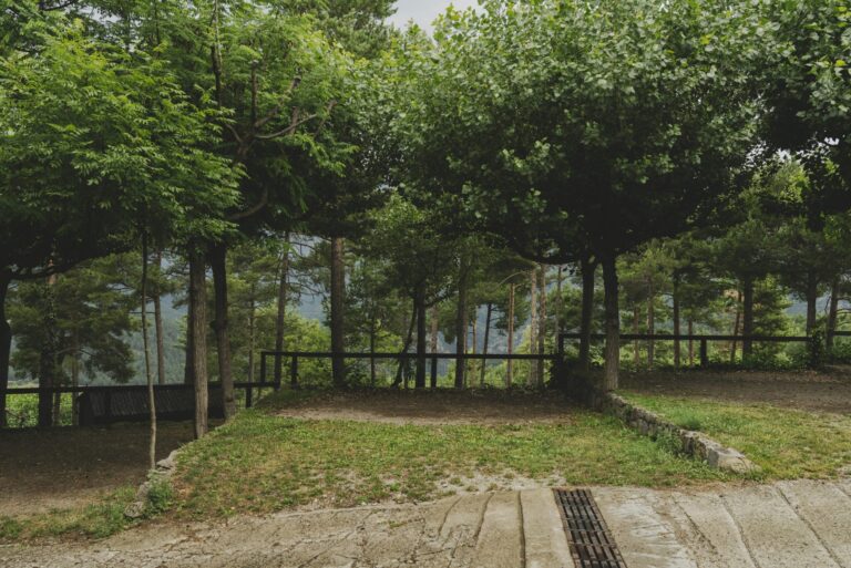 Wecamp pedraforca - Bild 5