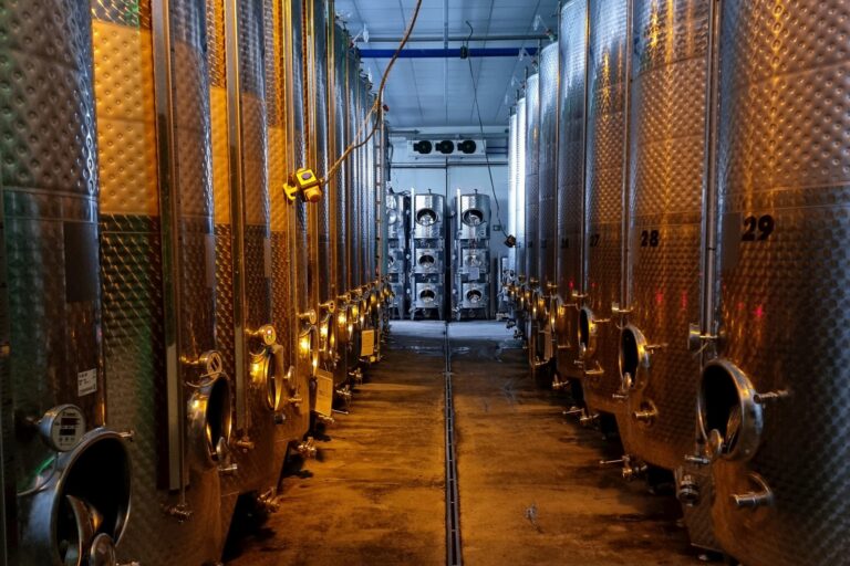 Weingut Römmert - Bild 6